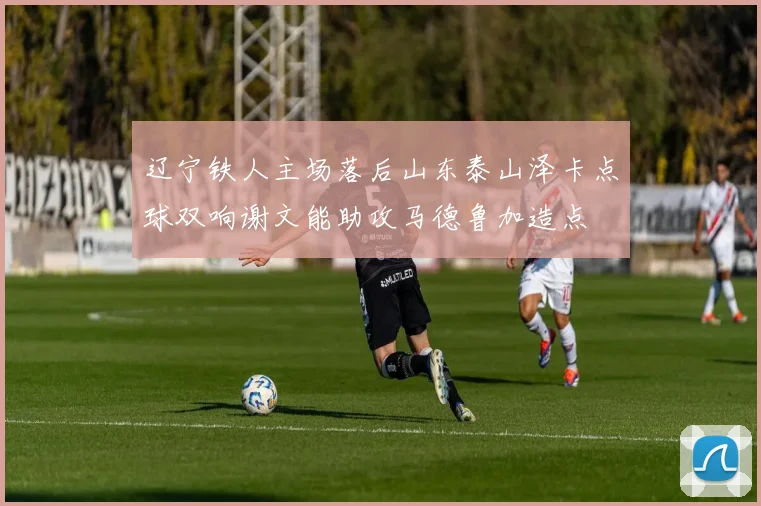 辽宁铁人主场落后山东泰山泽卡点球双响谢文能助攻马德鲁加造点