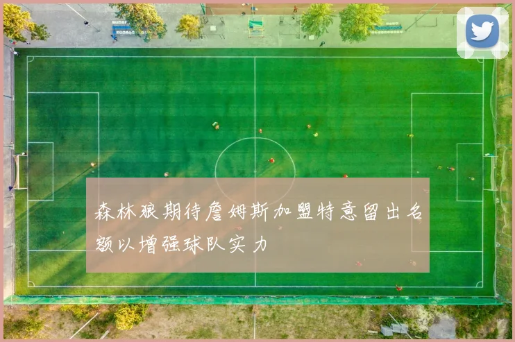森林狼期待詹姆斯加盟特意留出名额以增强球队实力